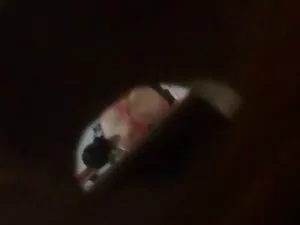 Lesbianas en sofá he ...
